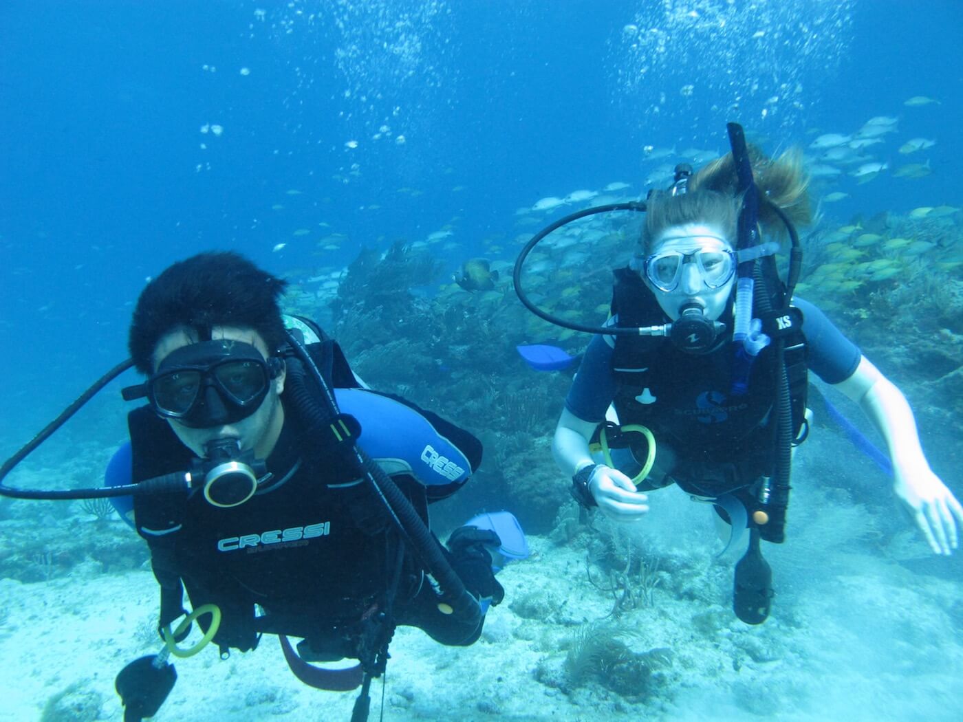 Dive Center Mexiko: Tauche ein in ein Meer voller Abenteuer