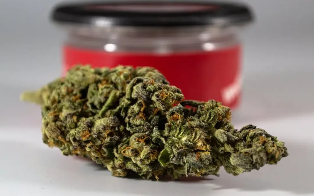 CBD Blüten online bestellen: Sicher, schnell und diskret